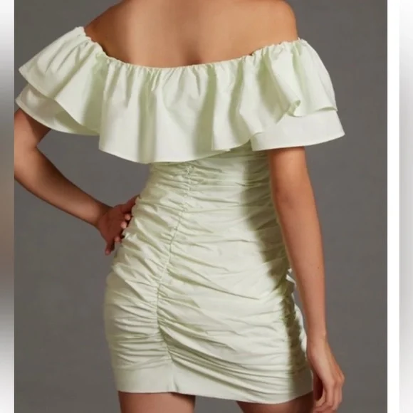 Anthropologie NWT Maeve Ruched Dress; Size 12P yet runs smaller; top rated - Picture 5 of 12